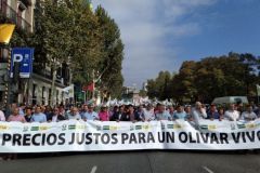 manifestacionolivarmadrid-5