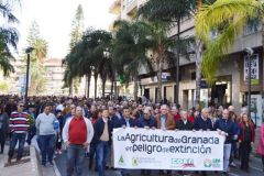 manifestacionhorticola-2