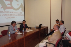 21.06.2013_jornada_eficiencia_energetica_FAECA_Cordoba