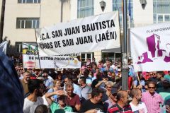 manifestacionaceitejaen-8