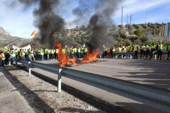 300120_ManifestacionJaen