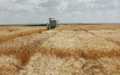 FAECA valora positivamente la flexibilidad lograda en los pagos aunque lamenta la escasa concreción de instrumentos de gestión de mercado y de reequilibrio de la cadena agroalimentaria