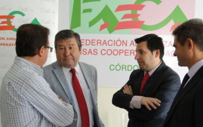 FAECA-Córdoba informa a sus cooperativas sobre una línea de ayudas oficiales para la mejora de la eficiencia energética