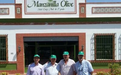 El delegado de Agricultura en Sevilla, Francisco Gallardo, visita las nuevas instalaciones de Manzanilla Olive S.C.A. en Utrera