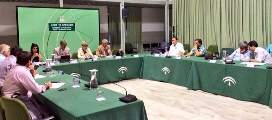 Cooperativas Agro-alimentarias de Andalucía valora positivamente la actuación de la Consejería de Agricultura ante el veto ruso