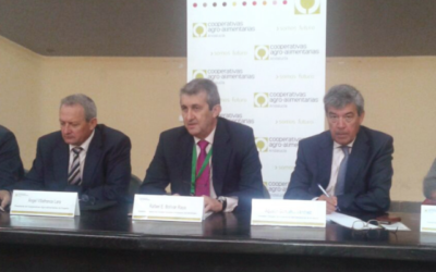 Las cooperativas vitivinícolas andaluzas se reúnen con el Ministerio de Agricultura en Jerez