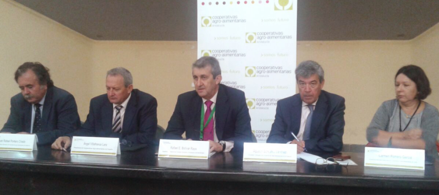 Las cooperativas vitivinícolas andaluzas se reúnen con el Ministerio de Agricultura en Jerez