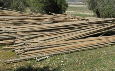 Disponible en la web 200 fotografías de material de uso agrario incautado por los efectivos ROCA de la Guardia Civil en Córdoba