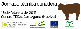 banner jornada cortegana 2