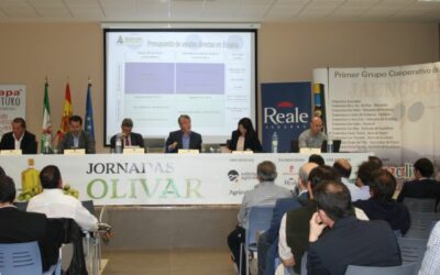 Jornada de olivar en Villacarrillo