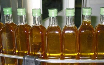 La Junta confirma una campaña de aceite de oliva media, en línea con las previsiones de la federación
