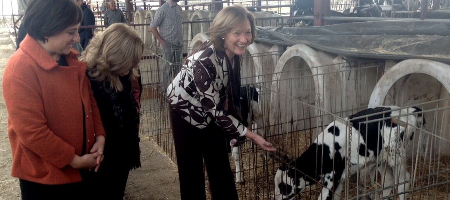 Visita de la consejera de Agricultura, Carmen Ortiz, a tres cooperativas en Granada