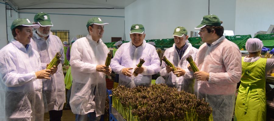 El delegado de Agricultura en Granada visita las cooperativas de espárrago de Huétor-Tajar