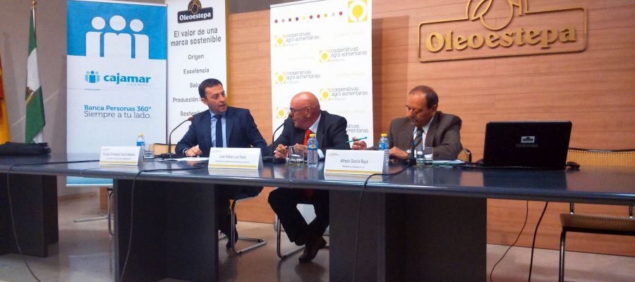 Cooperativas Agro-alimentarias de Andalucía analiza las líneas de ayudas previstas para el sector en el PDR 2014-2020