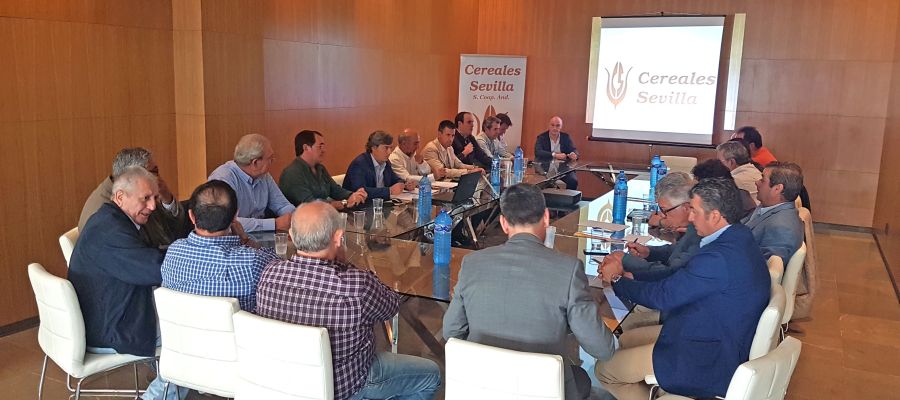 Cereales Sevilla cumple 30 años desde su constitución