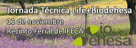 banner jornada