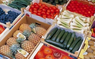 Cooperativas Agro-alimentarias valora el reglamento de OPFH