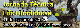 banner jornadas recuperacion 31 10