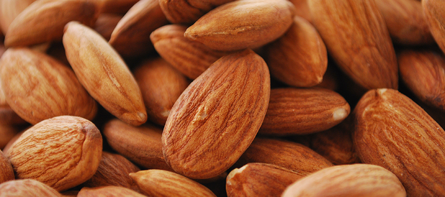 Se constituye un Grupo Operativo para que nunca más tengas que “saborear” las desagradables almendras amargas