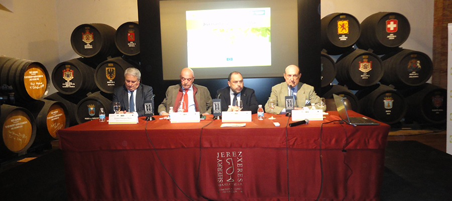 Cooperativas Agro-alimentarias de Andalucía insta a la integración del sector vitivinícola para ser más competitivos en los mercados