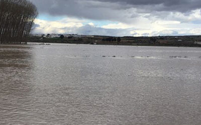 La federación provincial de Granada valorará los daños por las inundaciones en municipios de la Vega