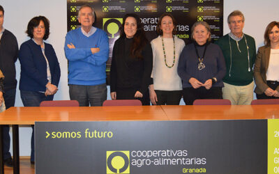 Cooperativas Agro-alimentarias de Granada, Paisajes del Sur, Universidad y Diputación impulsan un Grupo Operativo que investigará el control de cárcavas para frenar la erosión en el olivar