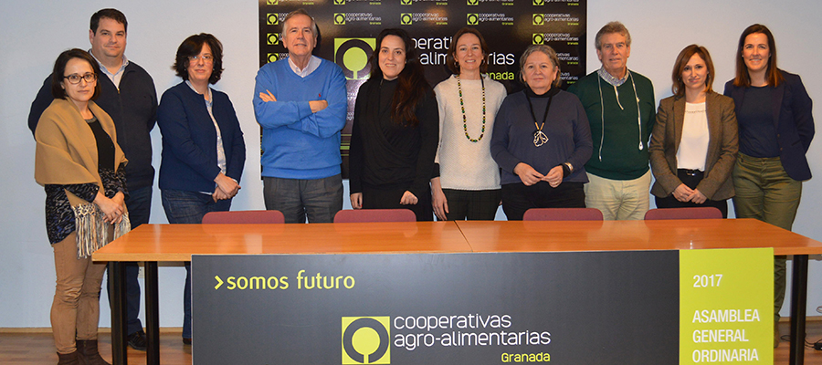 Cooperativas Agro-alimentarias de Granada, Paisajes del Sur, Universidad y Diputación impulsan un Grupo Operativo que investigará el control de cárcavas para frenar la erosión en el olivar