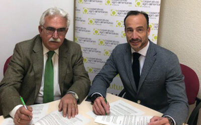 Cooperativas Agro-alimentarias de Jaén y CaixaBank suscriben un relevante acuerdo de colaboración