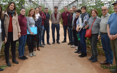 Cooperativas Agro-alimentarias de Granada promueve un Grupo Operativo que estudia técnicas de riego más eficientes en hortícolas