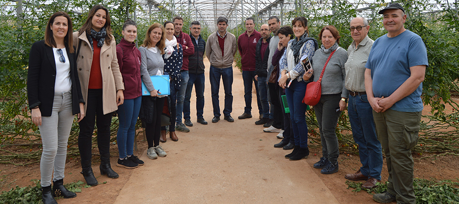 Cooperativas Agro-alimentarias de Granada promueve un Grupo Operativo que estudia técnicas de riego más eficientes en hortícolas