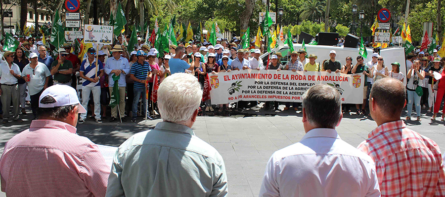 Cooperativas Agro-alimentarias de Andalucía pide una respuesta contundente de la Unión Europea ante el jaque a la aceituna negra