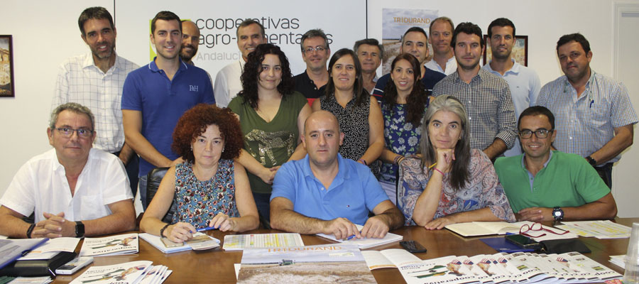 Resultados positivos en los primeros ensayos de Tridurand para la producción de variedades de trigo duro de alta calidad en Andalucía