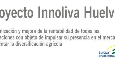 Cooperativas Agro-alimentarias impulsa la mejora de los aceites onubenses a través del proyecto de I+D+i ‘Innoliva’