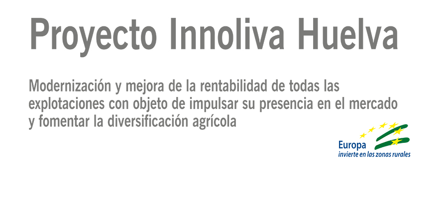 Cooperativas Agro-alimentarias impulsa la mejora de los aceites onubenses a través del proyecto de I+D+i ‘Innoliva’