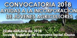 Convocatoria 2018  Ayudas a la incorporación de jóvenes