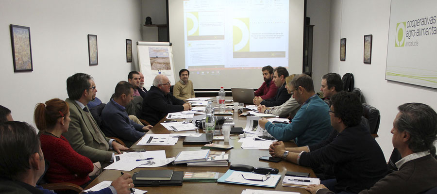 Cooperativas Agro-alimentarias de Andalucía pide explorar todas las posibilidades para defender al sector de la aceituna de mesa