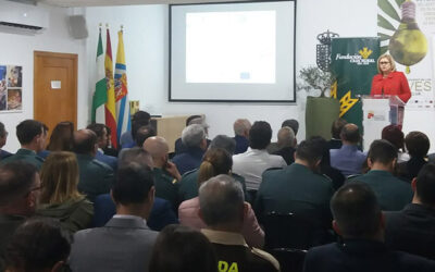 Cooperativas de Huelva aplican tecnologías innovadoras en la producción de aceite de oliva para seguir impulsando la calidad