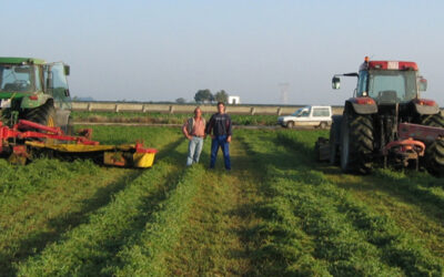Cooperativas Agro-alimentarias de Sevilla y Agroquivir trabajan para conseguir una ayuda asociada al cultivo de la alfalfa