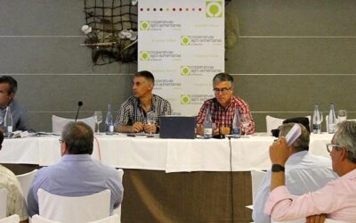 Cooperativas Agro-alimentarias de Almería celebra Asamblea y elige a los miembros de su Junta Directiva