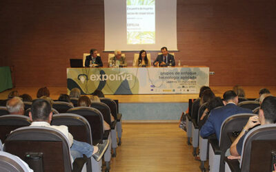 Cooperativistas analizan la importancia de la igualdad en el  I Encuentro de Mujeres Socias de Cooperativas Agro-alimentarias