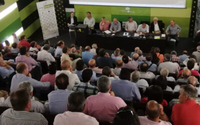 El sector oleícola nacional visualiza su unidad en vísperas de la concentración de Jaén