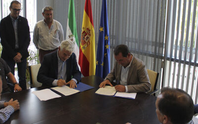 Cooperativas Agro-alimentarias de Sevilla celebra el convenio firmado entre COALSA y el IFAPA para investigar la adaptación de nuevas variedades de algodón en Andalucía