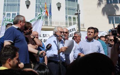 Cooperativas Agro-alimentarias de Andalucía se desmarca de cualquier movilización del sector olivarero que no pase por la unidad de acción