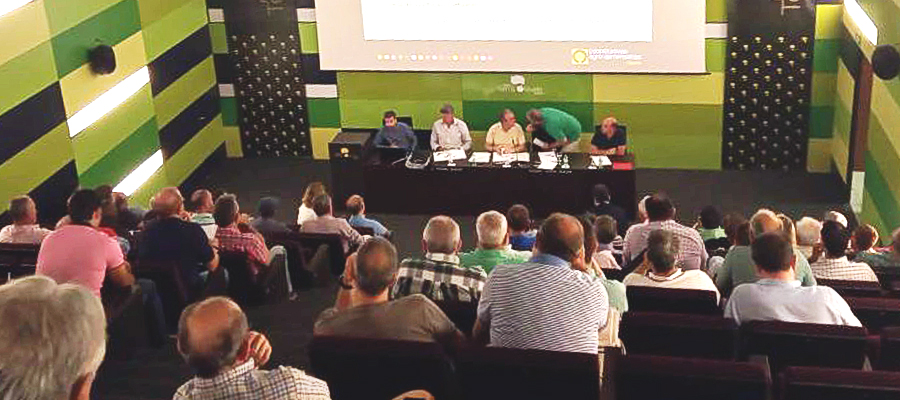 Recuperada la unidad de acción, Cooperativas Agro-alimentarias de Andalucía se manifestará el próximo 10 de octubre en Madrid