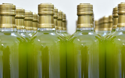 La rentabilidad y trazabilidad del aceite de oliva, a debate mañana jueves en San Isidro Labrador de Huelma