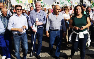 Más de 1.200 cooperativistas granadinos participan en la masiva manifestación en defensa del aceite de oliva en Madrid