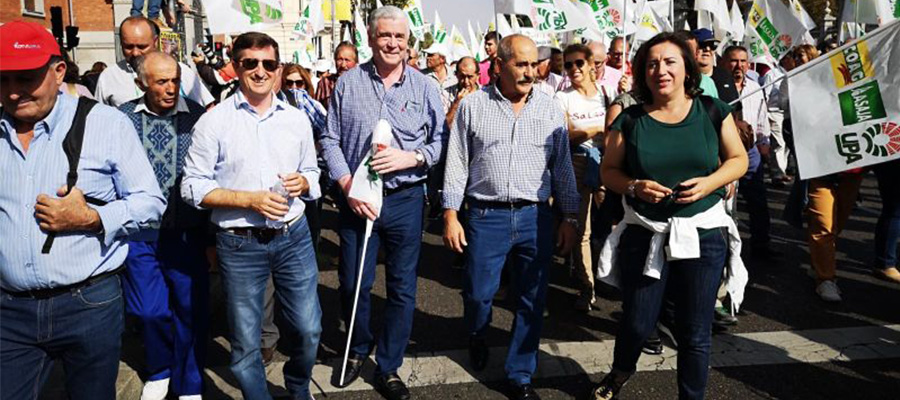 Más de 1.200 cooperativistas granadinos participan en la masiva manifestación en defensa del aceite de oliva en Madrid