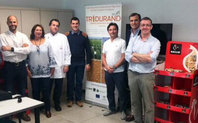 El Grupo Operativo Tridurand logra producir trigos duros andaluces al nivel de los mejores del mundo