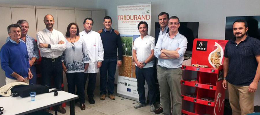 El Grupo Operativo Tridurand logra producir trigos duros andaluces al nivel de los mejores del mundo