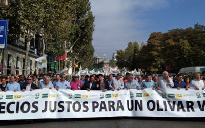 Masiva participación del cooperativismo agroalimentario andaluz en la manifestación en defensa del aceite de oliva en Madrid